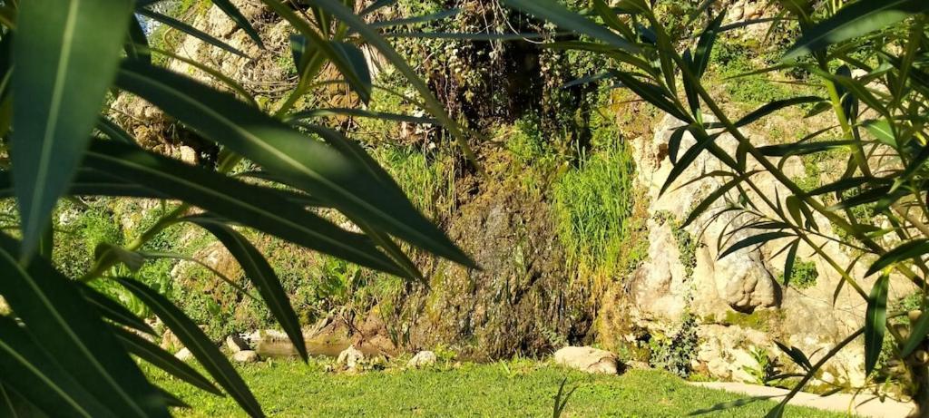 Molino Del Caracol Villa Benaoján Buitenkant foto