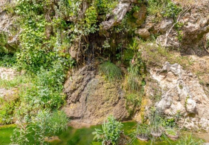 Molino Del Caracol Villa Benaoján Buitenkant foto